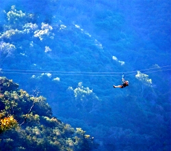 Participants enjoying a zipline eco-tour with scenic views of Catalina